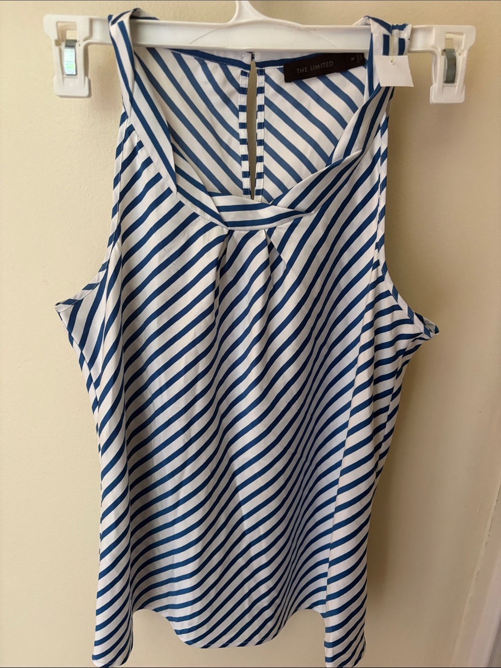 The Limited Blue & White Diagonal Stripe Tank